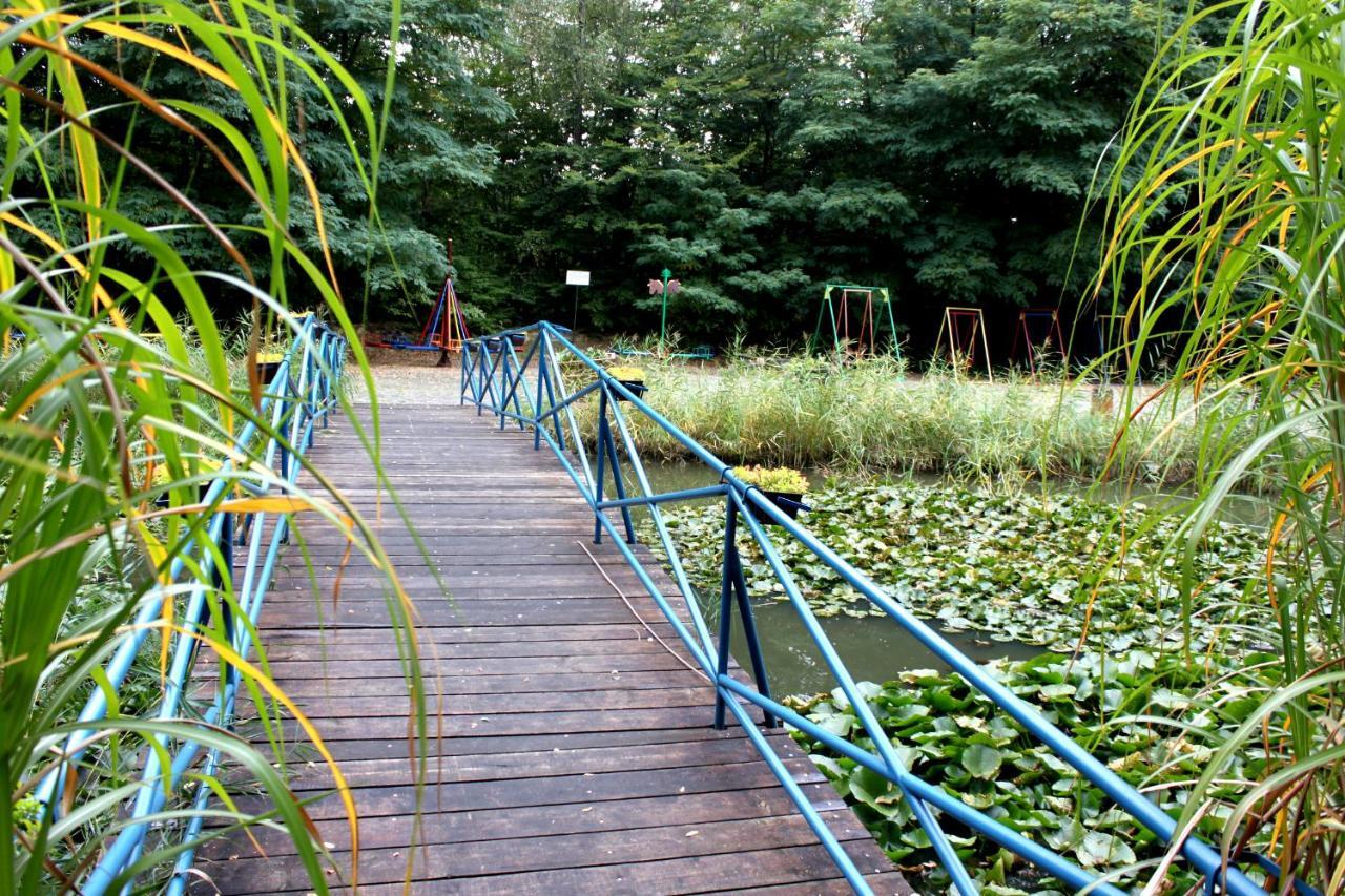 Park Lesny 'U Kaczyny' Hotel Rogow Esterno foto