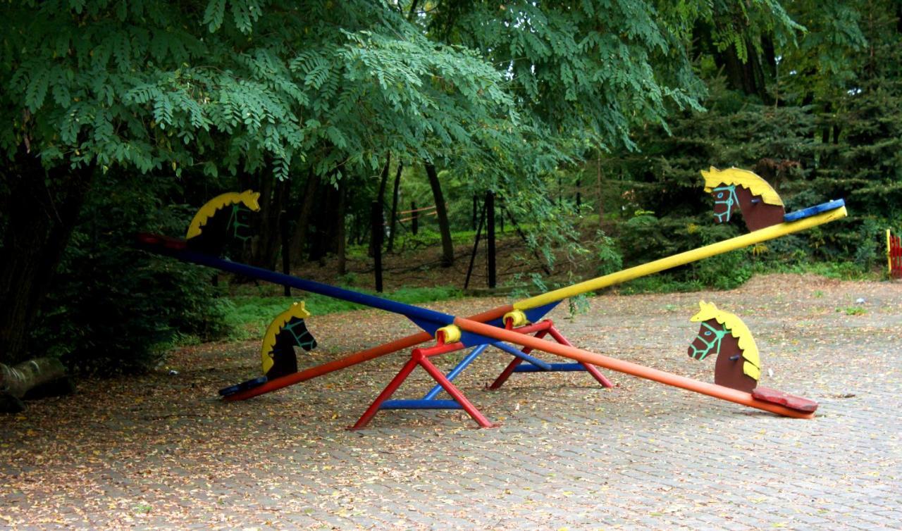 Park Lesny 'U Kaczyny' Hotel Rogow Esterno foto